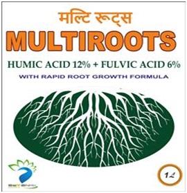 Multiroots 1L